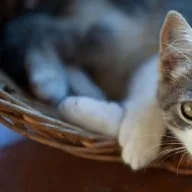 WannkommtdieSonneraus